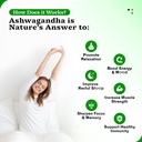 ashwagandha-gummies-extra-strength-vitam-3.jpg