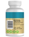 exir-saffron-supplements-helps-digestion-6.jpg