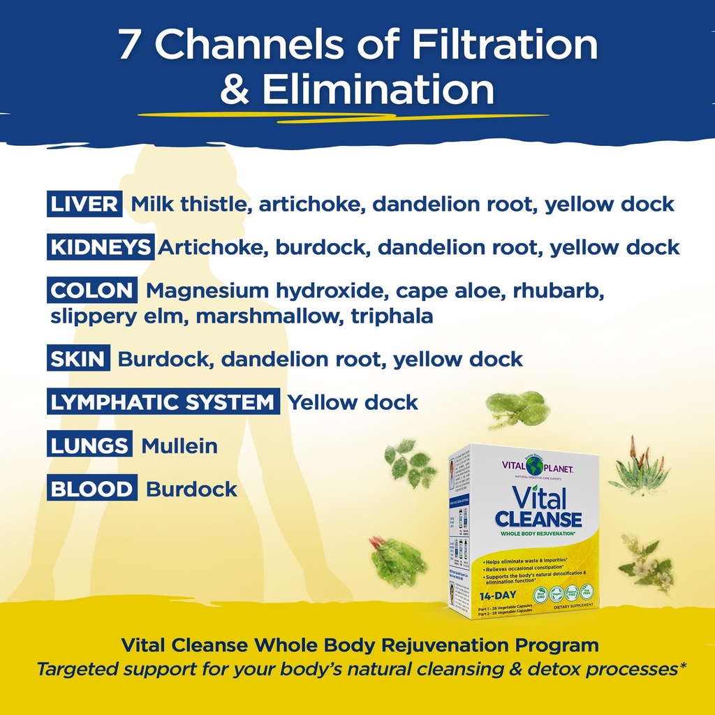 vital-planet-vital-cleanse-with-milk-thi-5.jpg