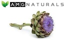 artichoke-extract-capsules-7-mg-cynarin--5.jpg
