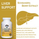 schisandra-chinese-herbal-extract-supple-6.jpg