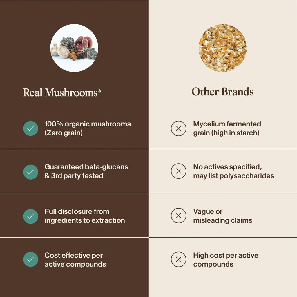 real-mushrooms-5-defenders-mushroom-comp-6.jpg
