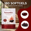 astaxanthin-astaxanthin-supplements-asta-4.jpg