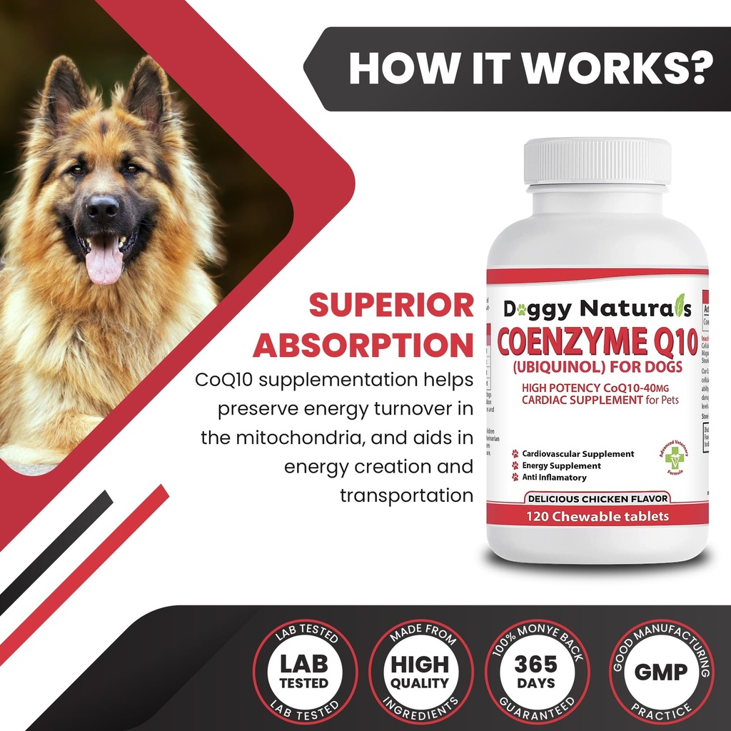 coenzyme-q10-high-potency-coq10-40mg-ubi-6.jpg
