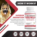 coenzyme-q10-high-potency-coq10-40mg-ubi-6.jpg
