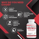 coenzyme-q10-high-potency-coq10-40mg-ubi-4.jpg