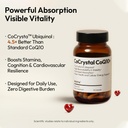 bigvita-cocrystal-coq10-120-mg-ubiquinol-3.jpg