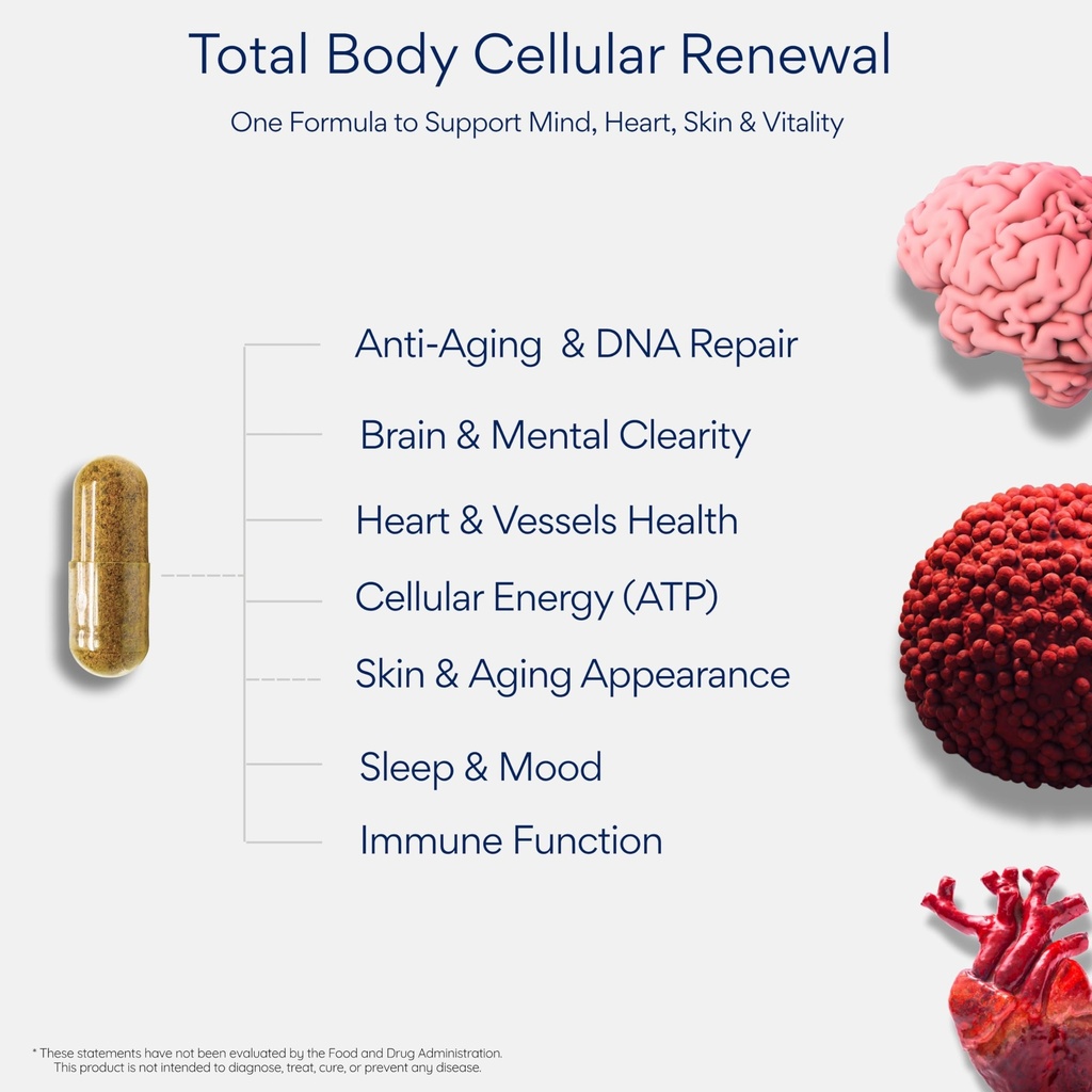 advanced-nad-complex-with-300mg-nr-200-m-5.jpg