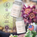 caralluma-fimbriata-60-capsules-non-gmo--4.jpg