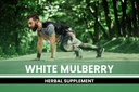 pure-original-ingredients-white-mulberry-4.jpg