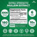 zazzee-extra-strength-mullein-leaf-10-1--2.jpg