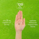 deal-supplement-mullein-leaf-extract-240-3.jpg