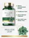 carlyle-mullein-leaf-extract-200-capsule-3.jpg