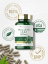 carlyle-mullein-leaf-extract-200-capsule-5.jpg