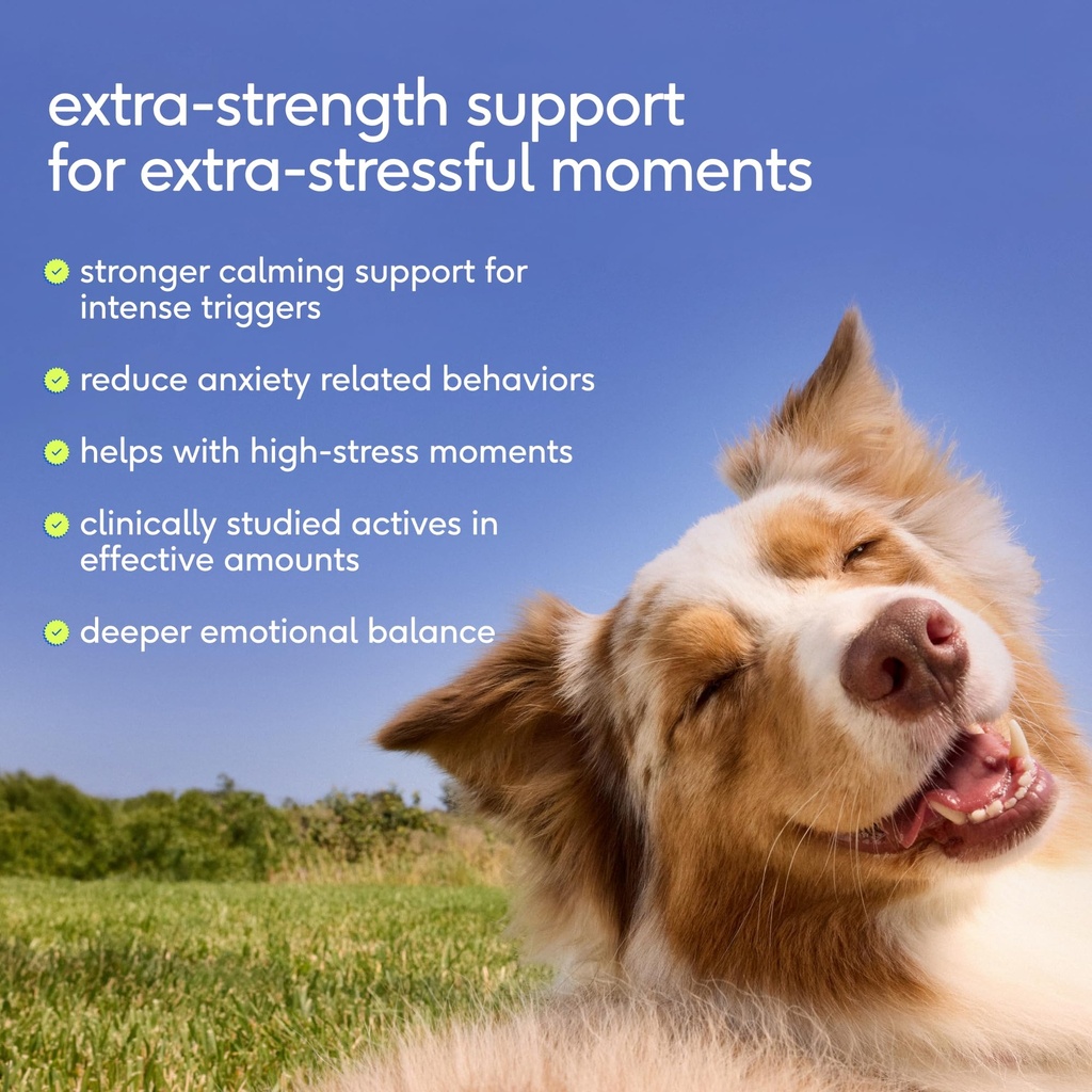 native-pet-advanced-calming-chews-for-do-2.jpg