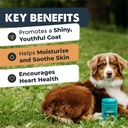 mighty-paw-waggables-mighty-omega-made-i-2.jpg