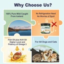 omega-3-fish-oil-for-dogs-dog-fish-oil-p-6.jpg