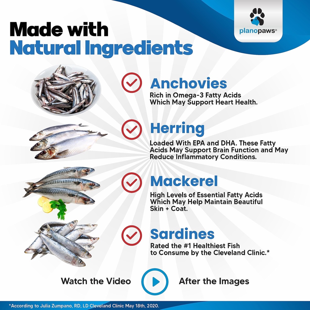 omega-3-fish-oil-for-cats-better-than-sa-6.jpg