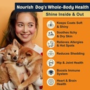omega-3-fish-oil-for-dogs-salmon-oil-for-3.jpg