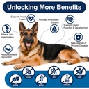 omega-3-skin-and-coat-supplement-for-dog-5.jpg