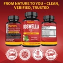 organic-boswellia-serrata-extract-capsul-6.jpg
