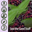nature-s-answer-sambucus-spray-supports--5.jpg