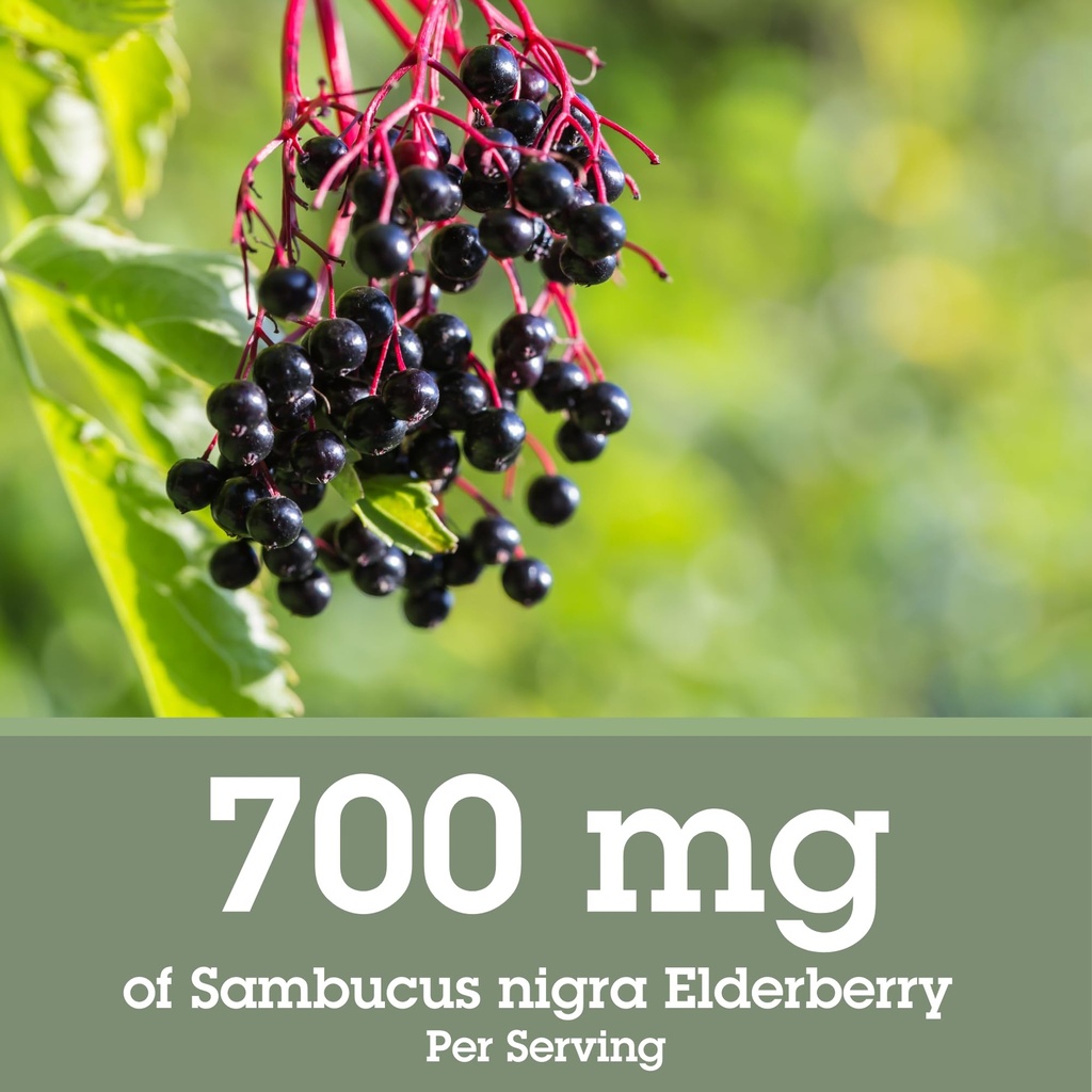 quantum-health-black-elderberry-liquid-e-3.jpg