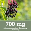 quantum-health-black-elderberry-liquid-e-3.jpg