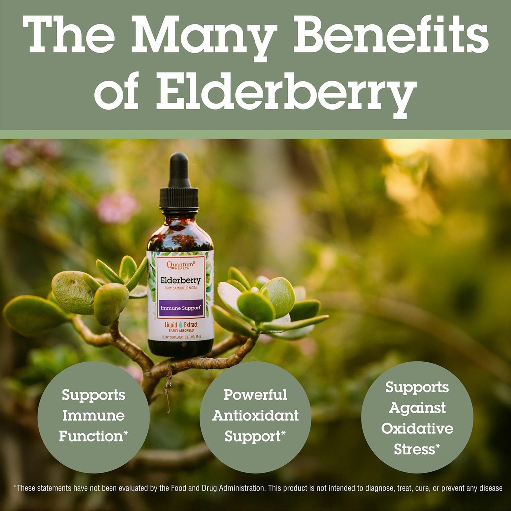 quantum-health-black-elderberry-liquid-e-4.jpg