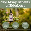 quantum-health-black-elderberry-liquid-e-4.jpg