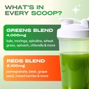 gobiotix-super-greens-powder-with-beet-r-4.jpg
