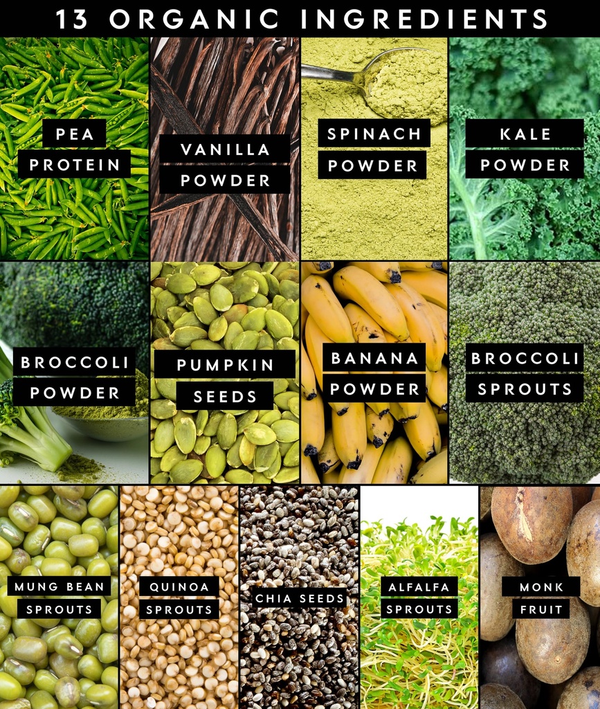 truvani-protein-greens-supplement-spinac-4.jpg