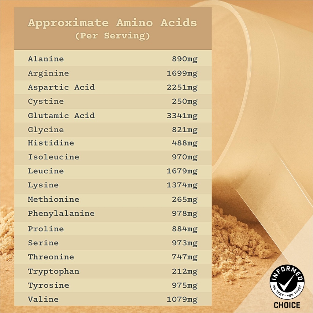 anea-plant-based-protein-powder-protein--6.jpg