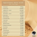 anea-plant-based-protein-powder-protein--6.jpg