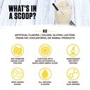 ambrosia-plant-based-protein-powder-20g--4.jpg