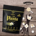 ambrosia-plant-based-protein-powder-20g--5.jpg