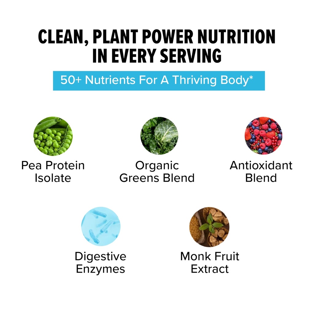 innosupps-clean-vegan-protein-plant-base-4.jpg
