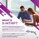 high-potency-5-mthf-active-form-with-vit-2.jpg