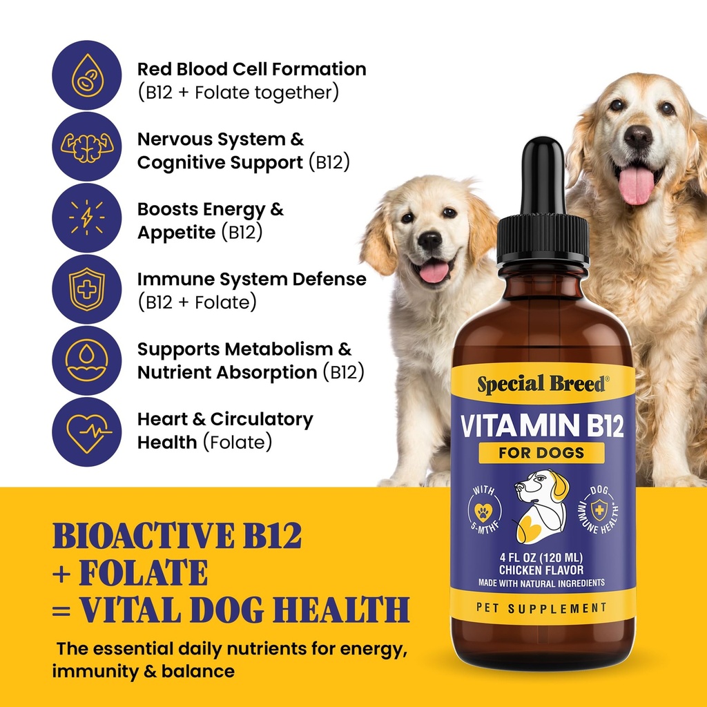 special-breed-liquid-vitamin-b12-for-dog-2.jpg