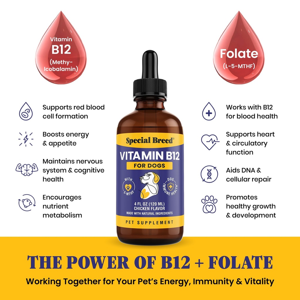 special-breed-liquid-vitamin-b12-for-dog-5.jpg