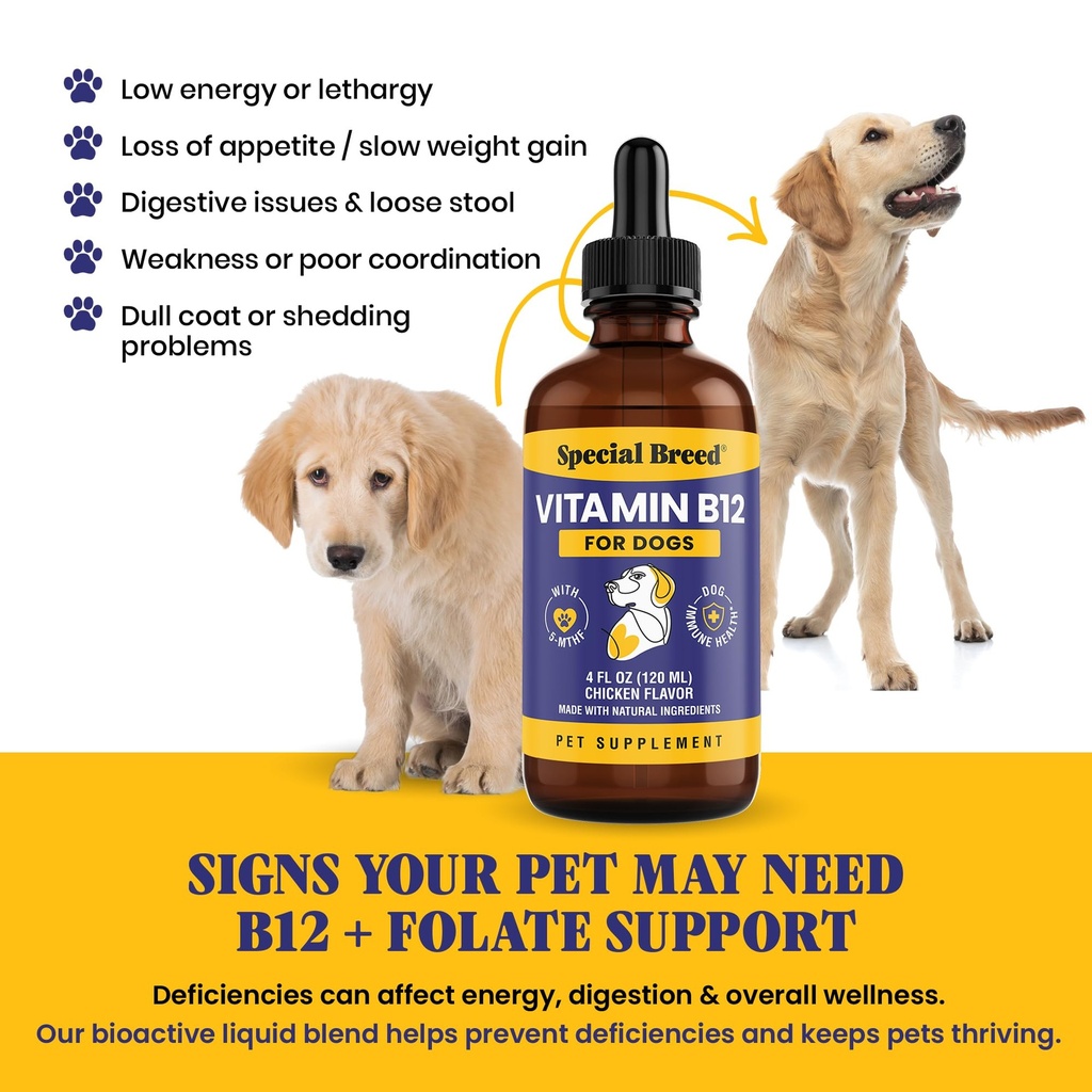 special-breed-liquid-vitamin-b12-for-dog-4.jpg