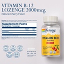 solaray-vitamin-b12-2000-mcg-lozenges-no-2.jpg