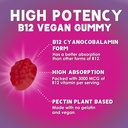 vitamin-b12-energy-gummies-3000-mcg-per--3.jpg