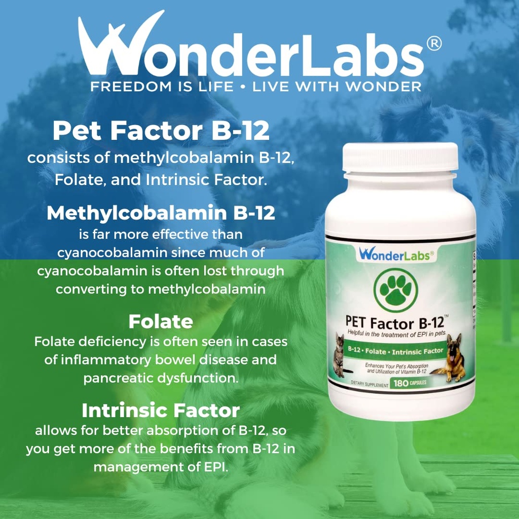 wonder-laboratories-pet-factor-b-12-vita-5.jpg