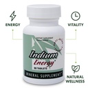 east-park-research-indium-energy-dietary-5.jpg