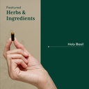 gaia-herbs-pro-holy-basil-stress-support-4.jpg