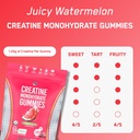steelfit-creapure-creatine-monohydrate-g-4.jpg
