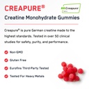 steelfit-creapure-creatine-monohydrate-g-3.jpg