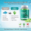 vegan-omega-3-algae-oil-supplement-with--6.jpg