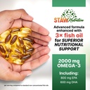 omega-3-fish-oil-supplement-2000-mg-per--5.jpg